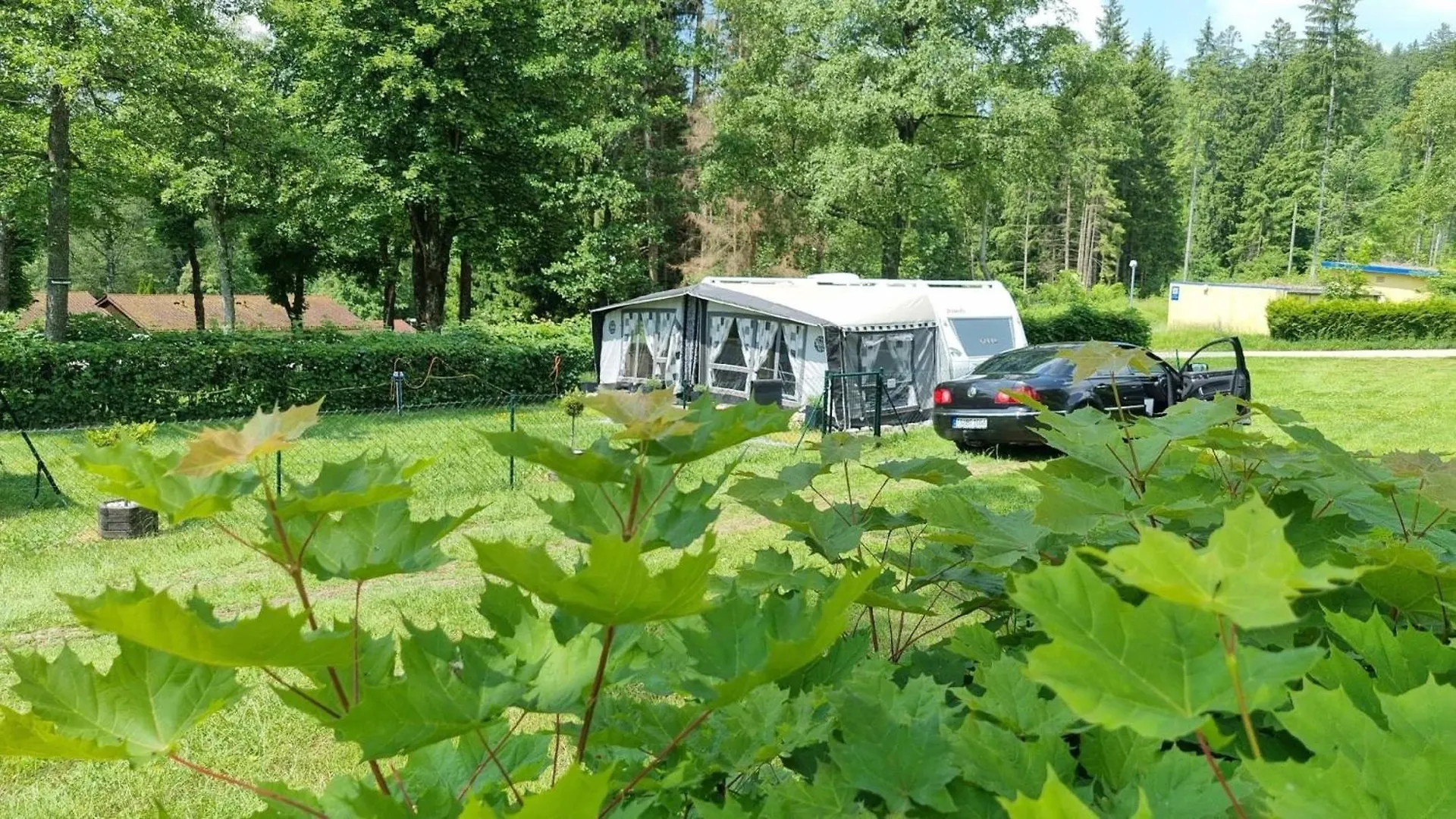 Klimatisierter Caravan Mit Umzaeuntem Stellplatz Untergriesbach Apartment